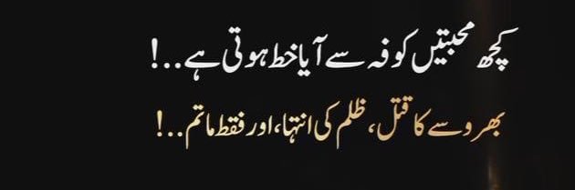 Ghazi Babur's banner