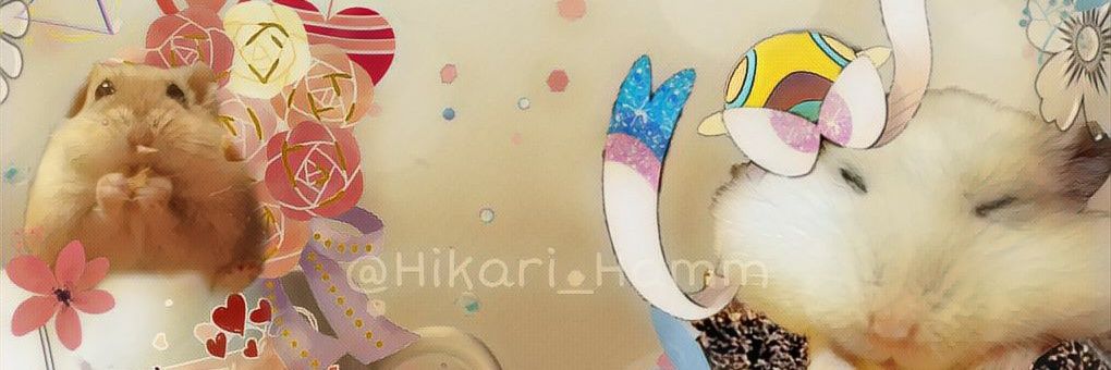 ノコ家のもふもふ日常【動物垢】's banner