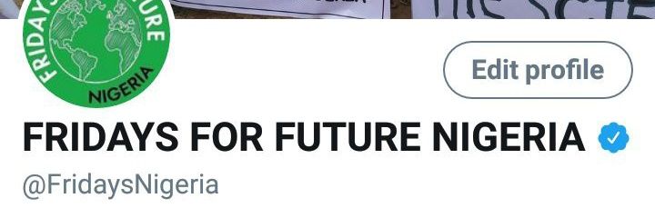 FRIDAYS FOR FUTURE NIGERIA's banner