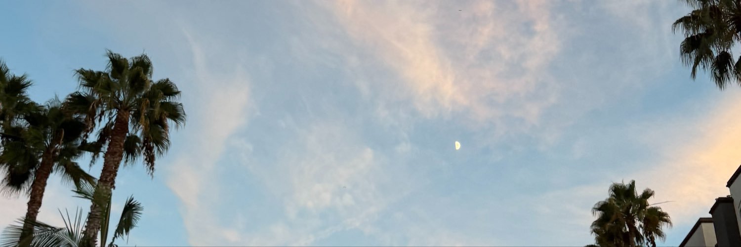 nicole's banner