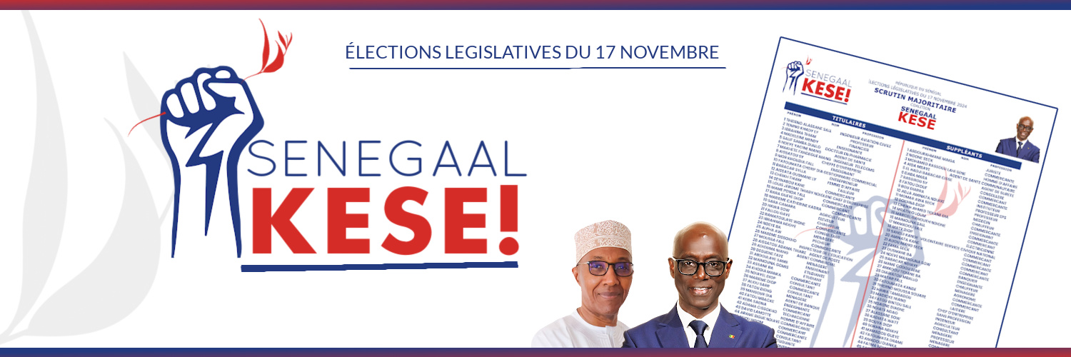 Thierno Alassane Sall's banner
