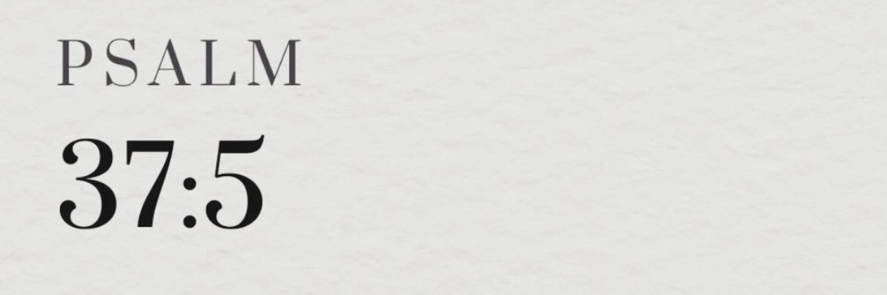 Aɪʀ Nᴏʟᴀɴᴅ.'s banner