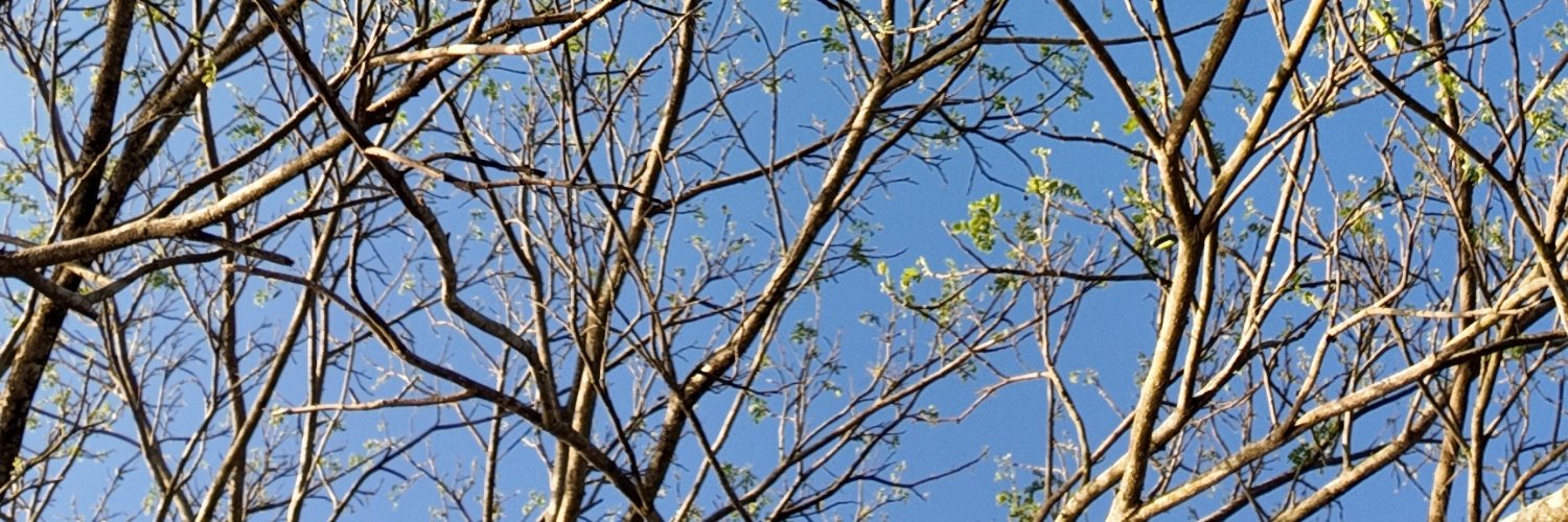Alter_Pasutri's banner