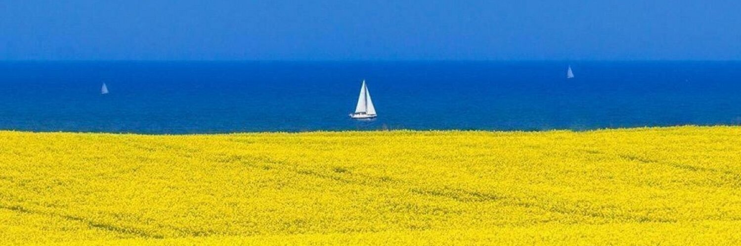 Ulrik Tideström 🇸🇪🇺🇦's banner
