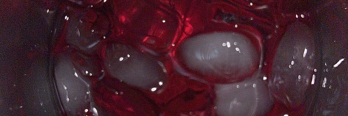 CHA$E's banner