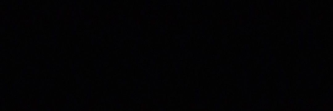 roosdrawsthings's banner