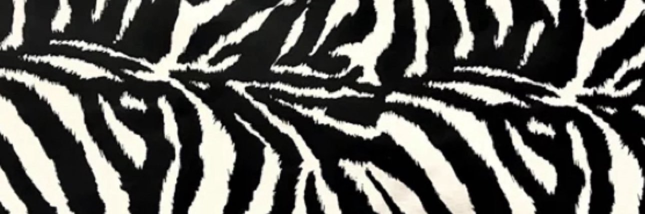 ARIES's banner