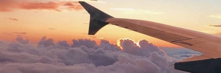 beauty_pp's banner