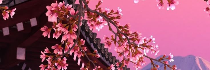 ˚₊‧꒰ა 🌸 ໒꒱ ‧₊˚'s banner