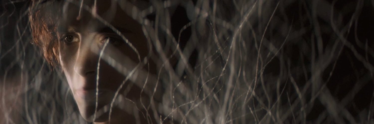 usul 🐭's banner