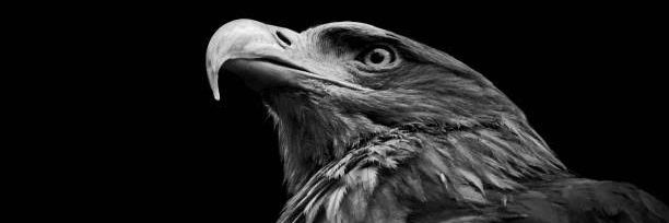 🦅Tonton Enock Mulume, l'homme de paix 🕊️'s banner