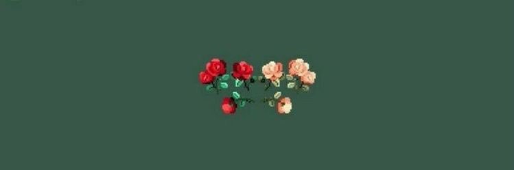 MZM🌻's banner