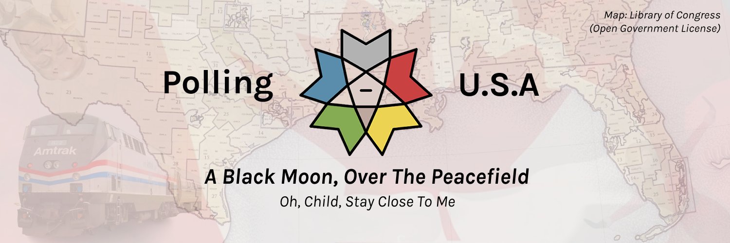 Polling USA's banner