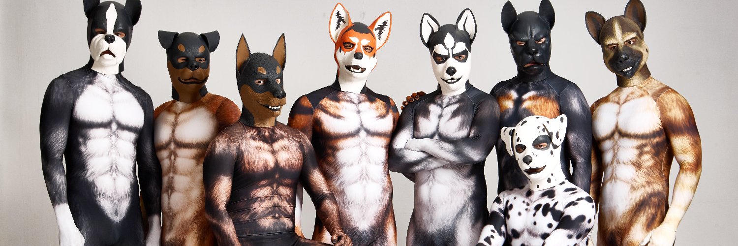 PETSUIT ペットスーツ's banner