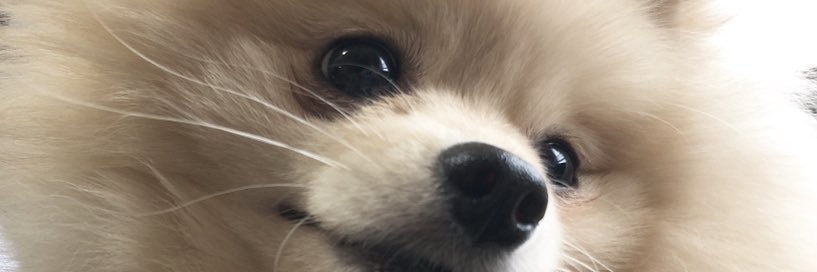 そらちゃんねる's banner