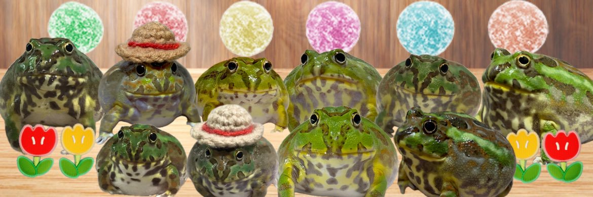乱暴おまめちゃん's banner