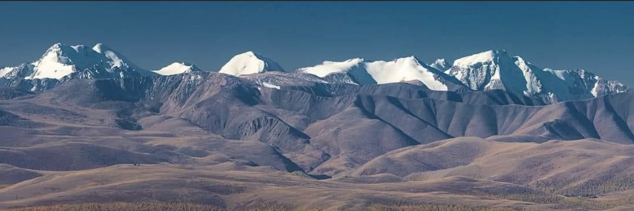 Лхамхүүгийн Мөнхбат's banner