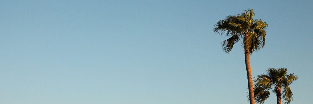ricardo's banner