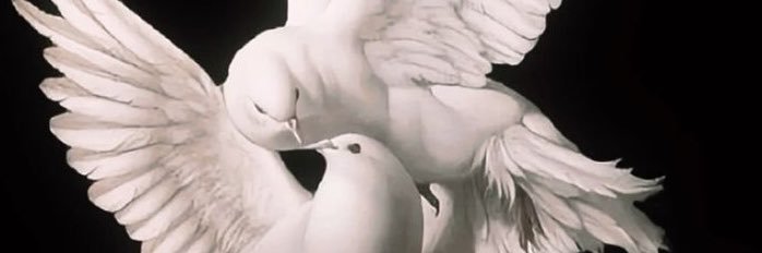 canefx's banner