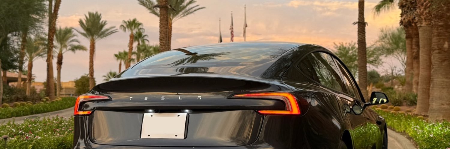 BabyTesla's banner