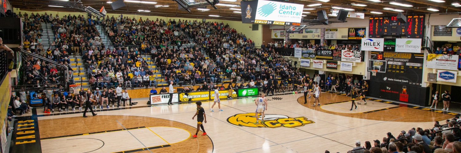 CSI Men’s Basketball's banner