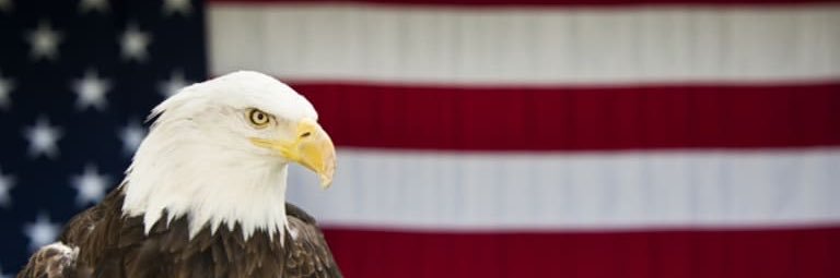 BCOOL's banner
