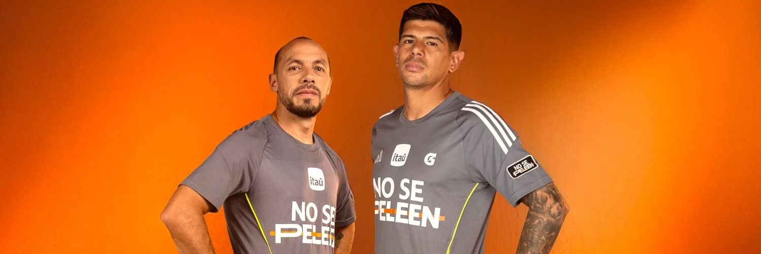 Chilensis Fútbol's banner