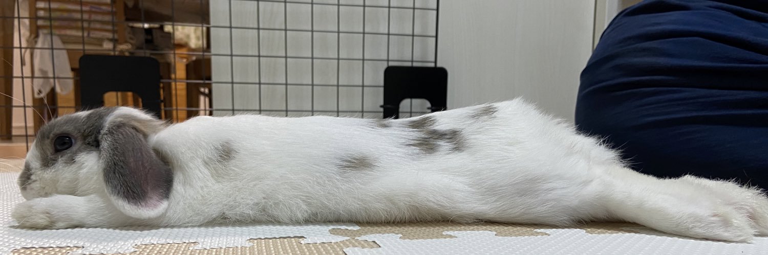 さとち（ちか🐰🌻よつば🐰🍀）'s banner