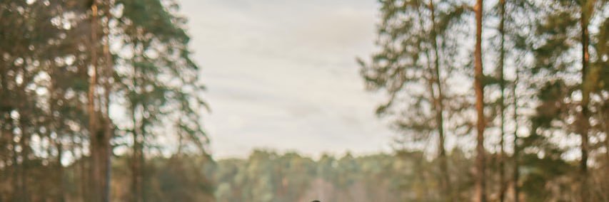 Ururufox's banner