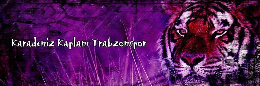 Trabzonsporlu Zou's banner