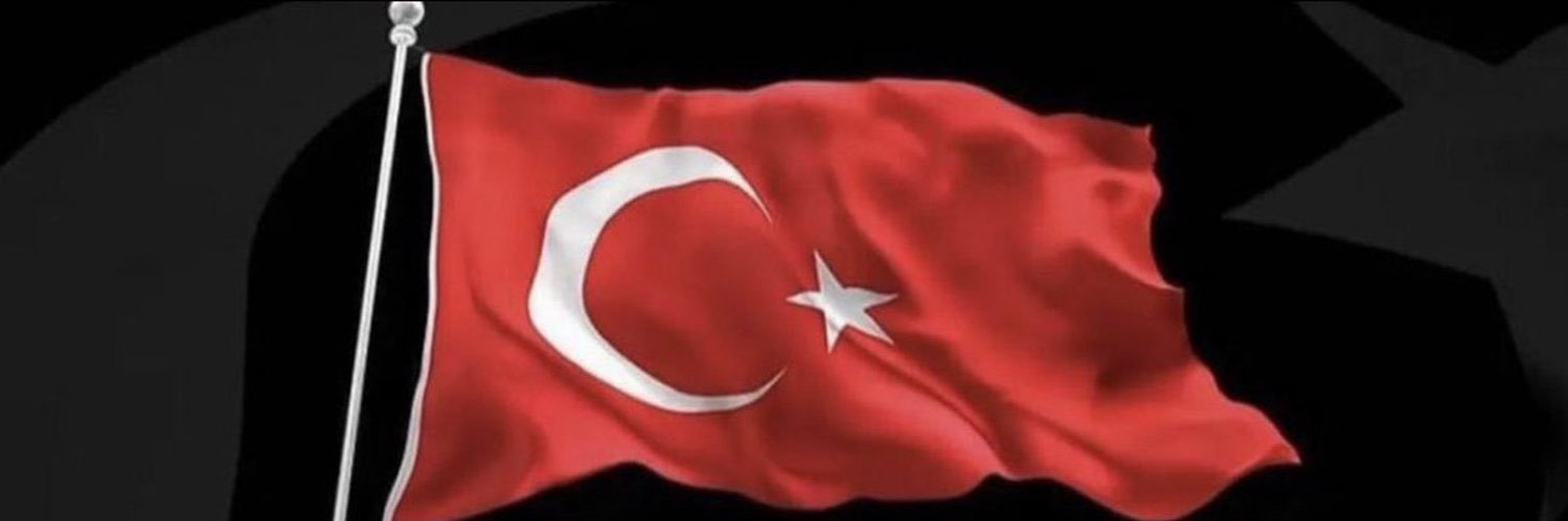 SiNEM 🇹🇷's banner