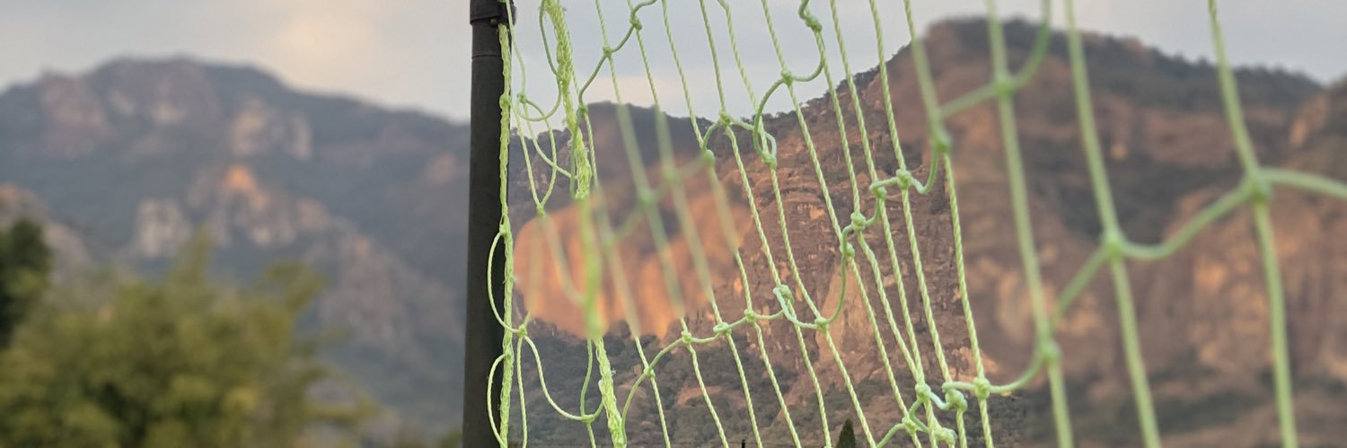 Alex de la Rosa's banner