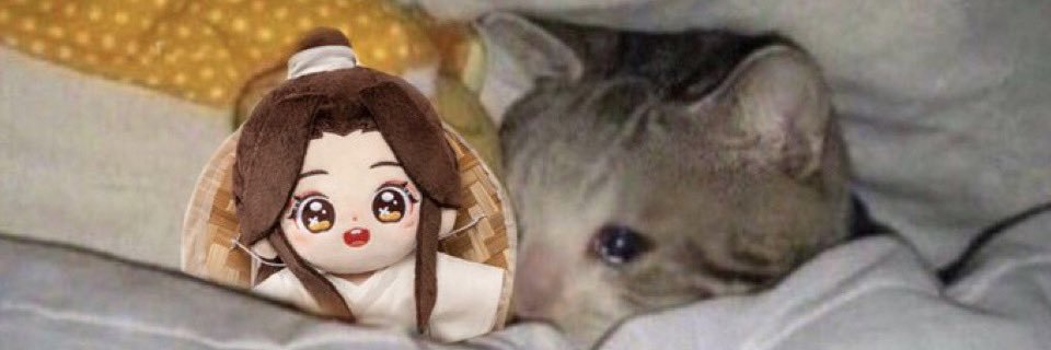 nyami 🪷🧸's banner