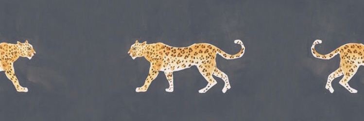 meedo's banner