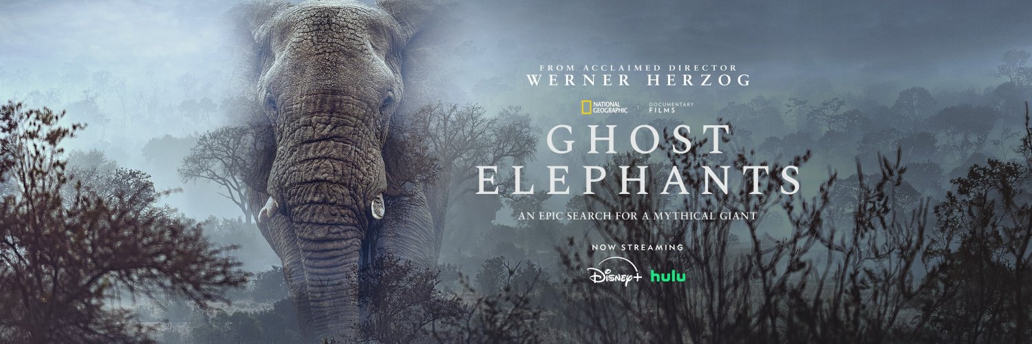 National Geographic Documentary Films's banner