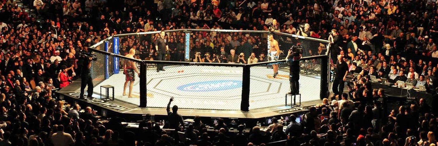 Turk Fight 🥊's banner