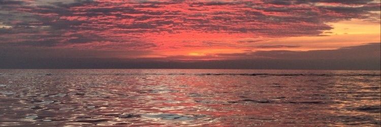 ッᴍʏ ɴᴀᴍᴇ ɪs ᴘᴀᴍッ's banner