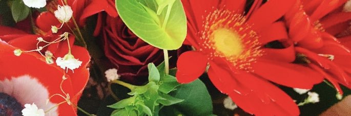 稗田寧々's banner