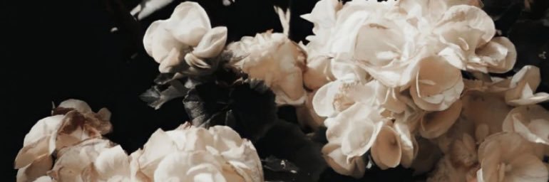 morgane's banner