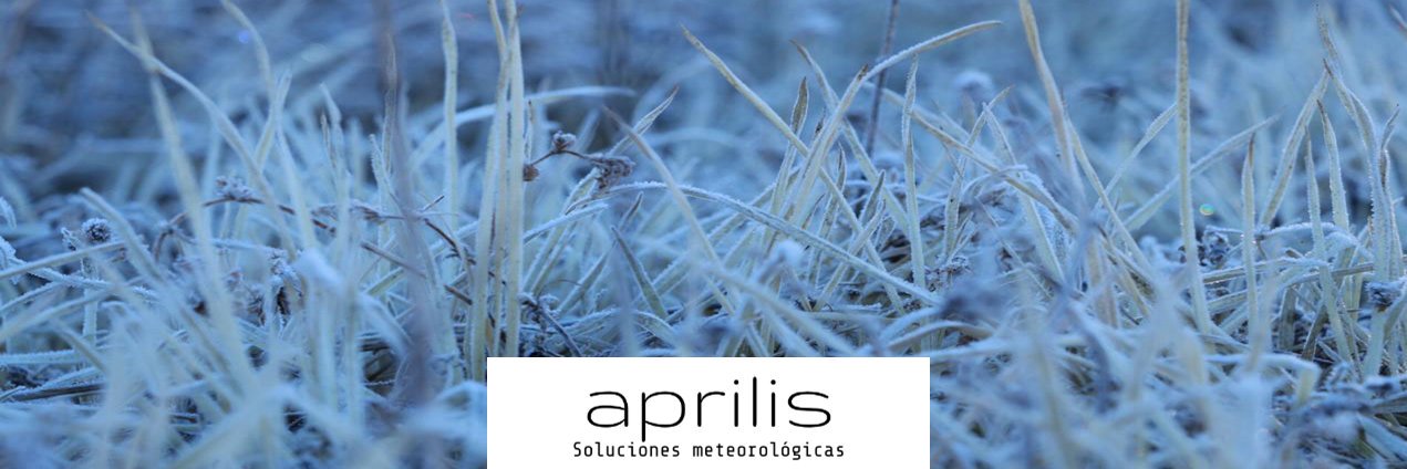 aprilis meteorological services's banner