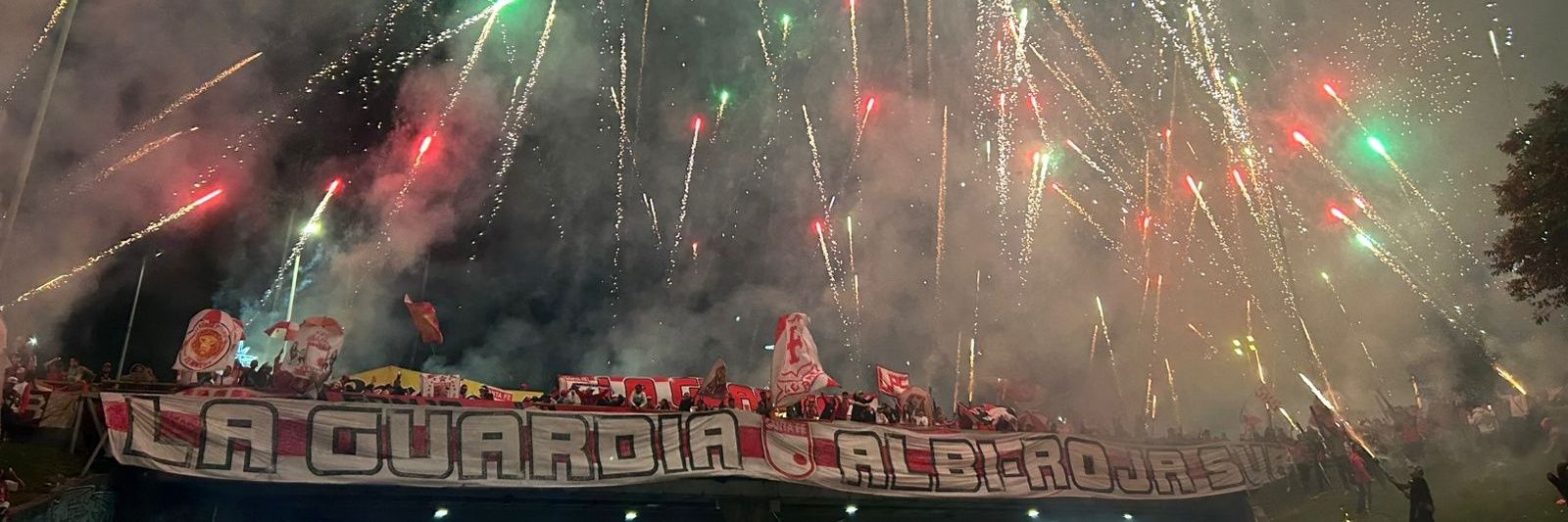 Diego González's banner