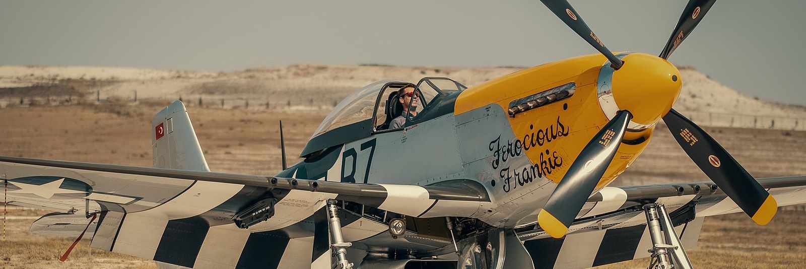 Frankie™️🦅's banner