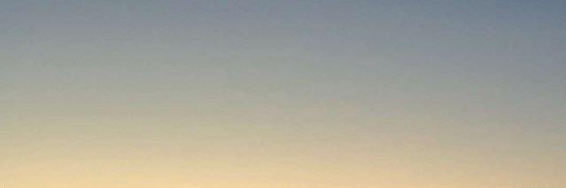 karolina's banner