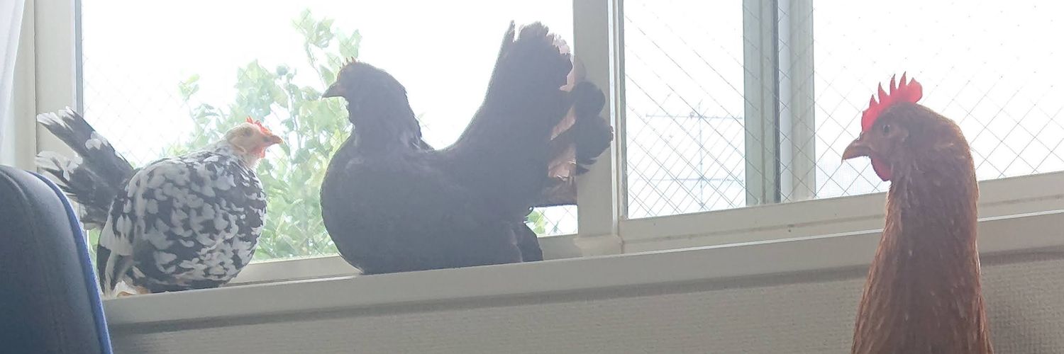 え〜いお茶's banner