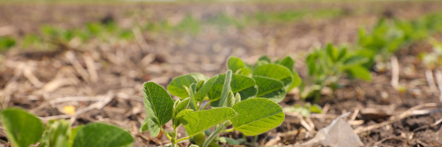 Syngenta US's banner