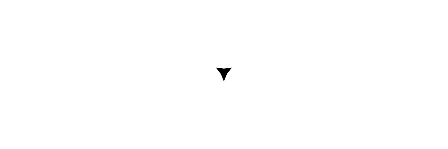Fendi's banner