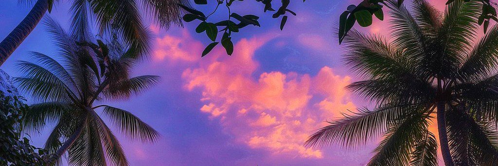 ❀⃔ൢ᭄ ℱ𝒜𝒯ℰ𝒩 ❀⃔ൢ᭄ 𓋹𓂀's banner