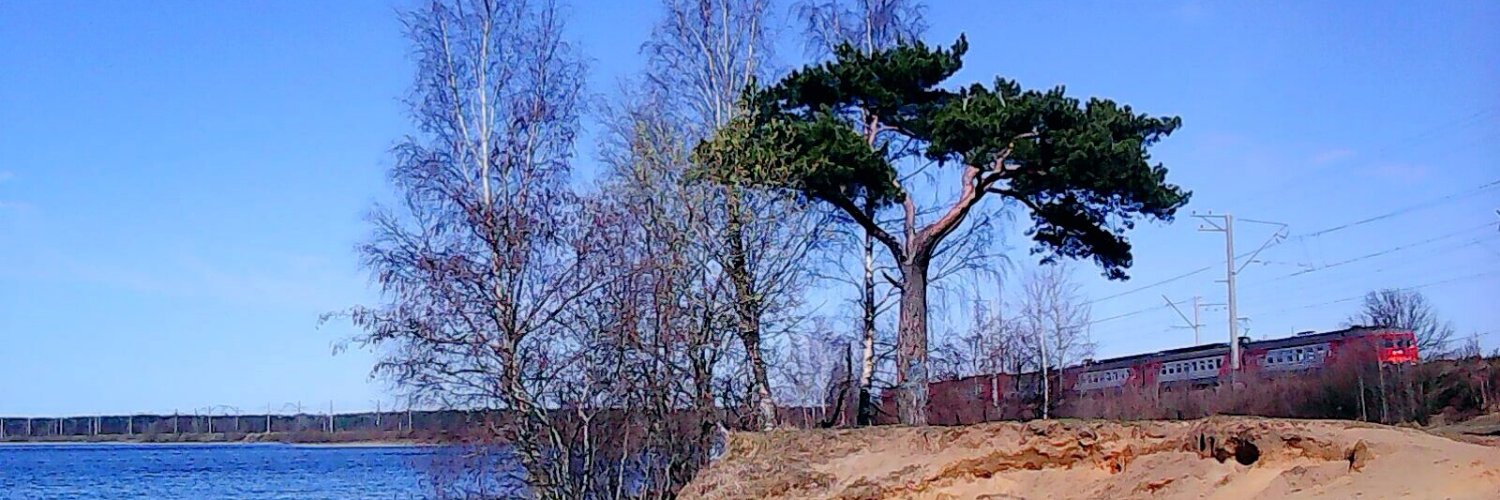 Z Свет Несущий's banner