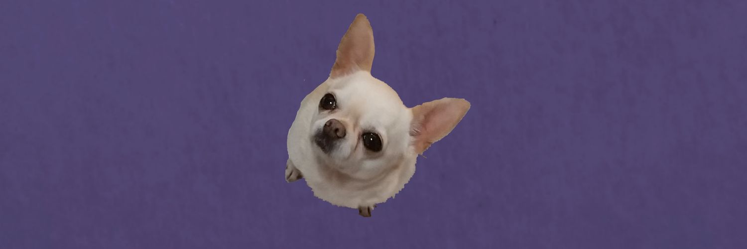 鯖頭's banner
