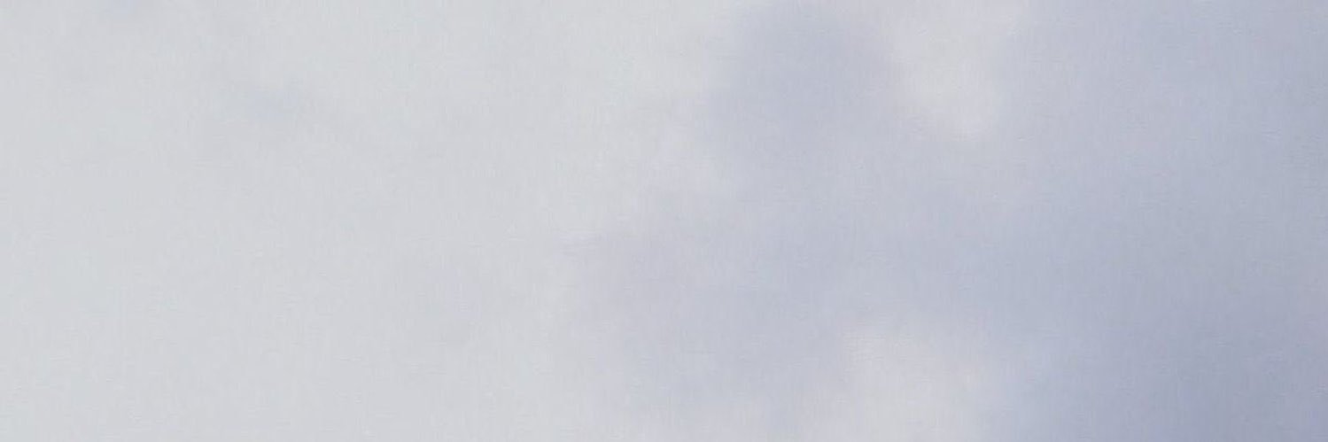t ꕤ's banner